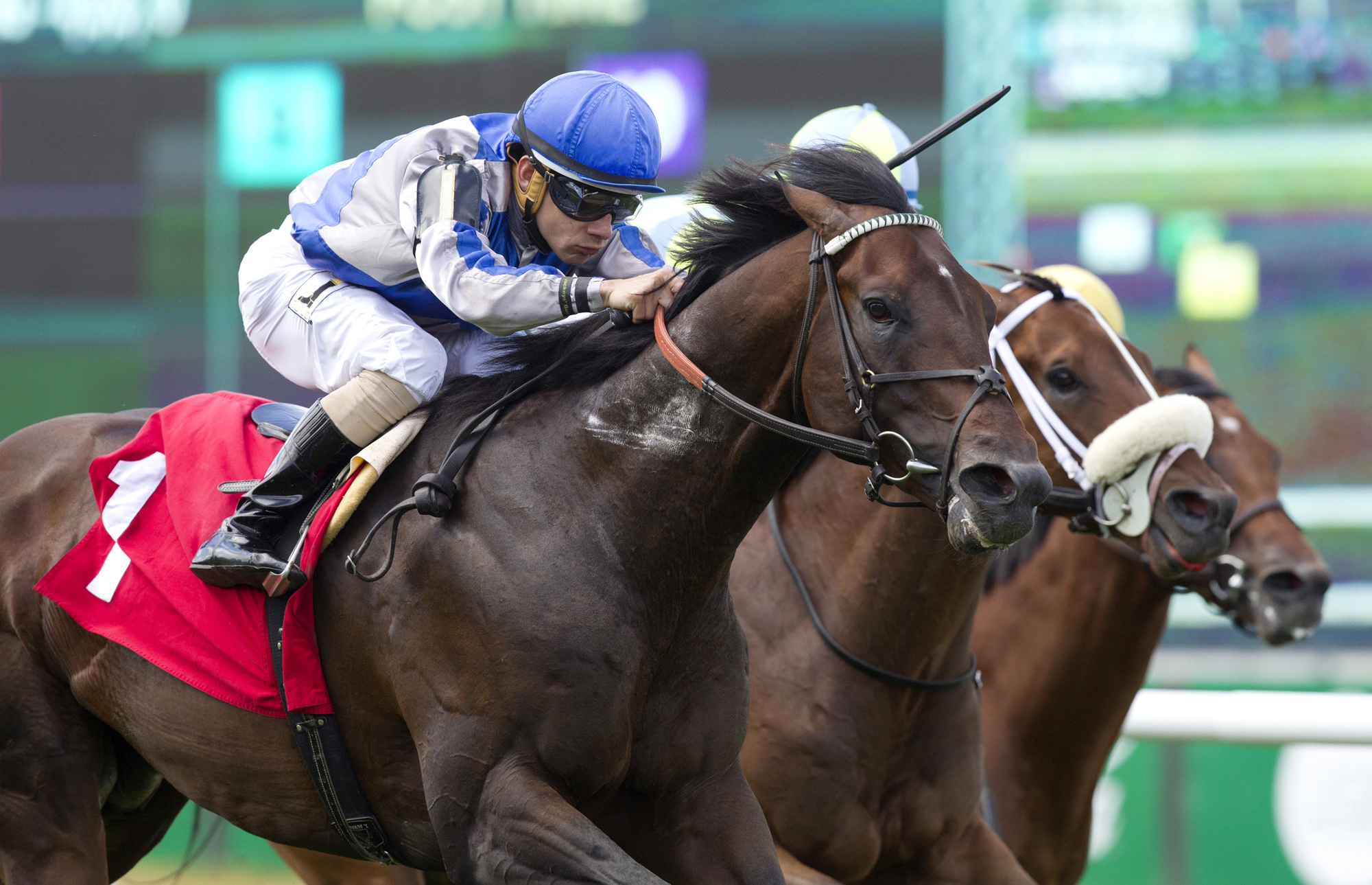 Commend wins a maiden race