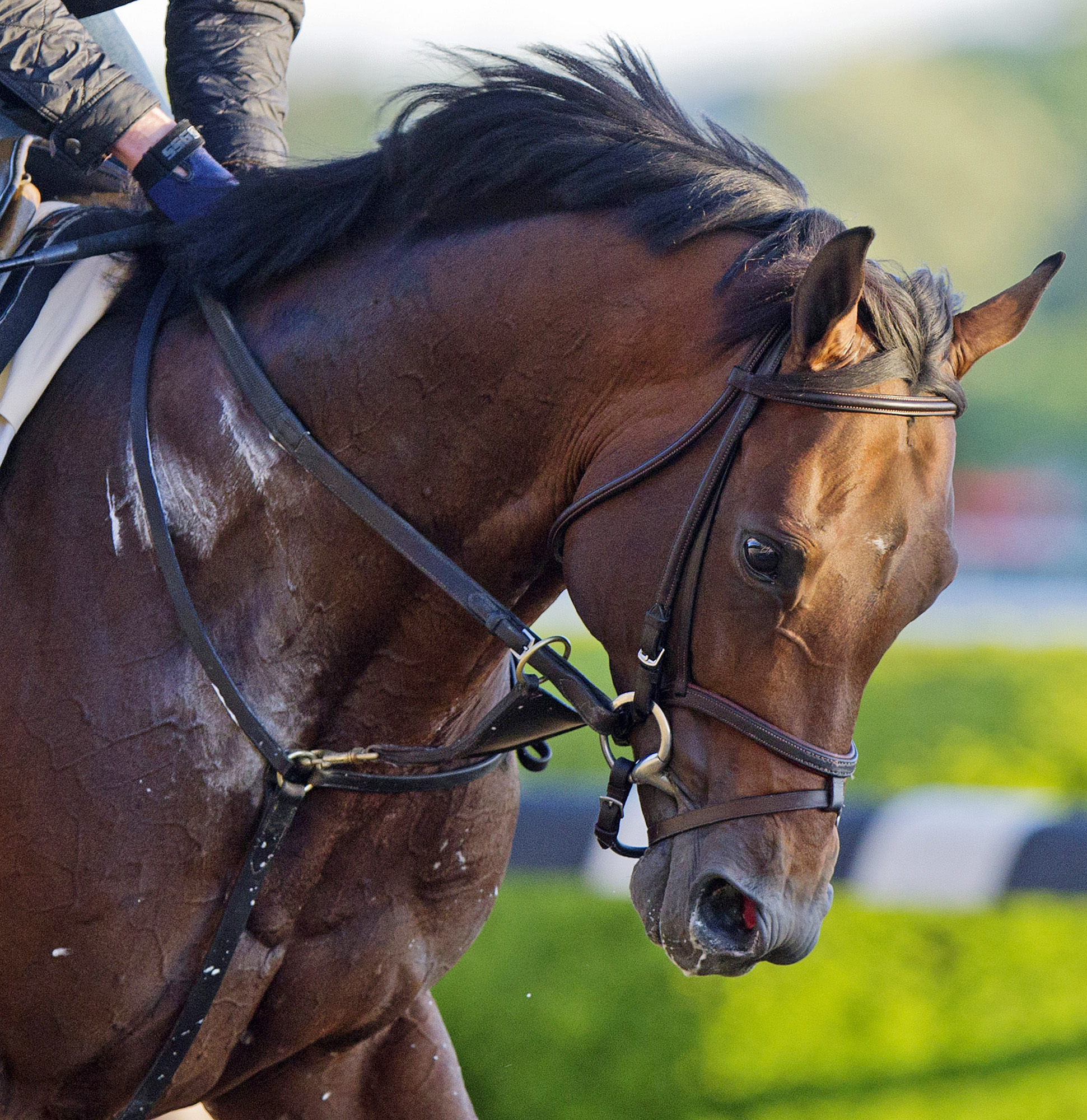Commissioner at Belmont Park