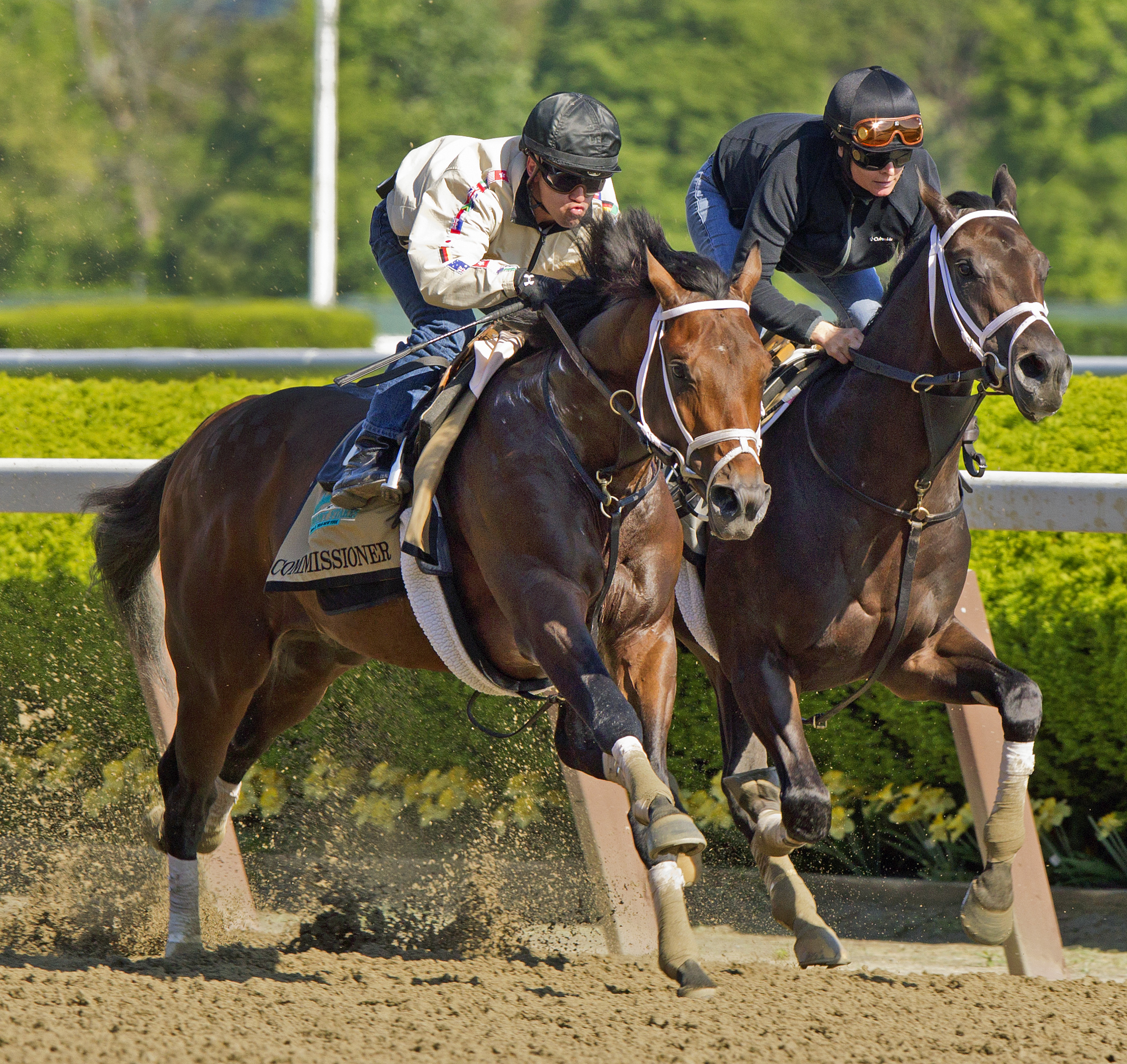 Commissioner, Intense Holiday 5/25 Belmont work
