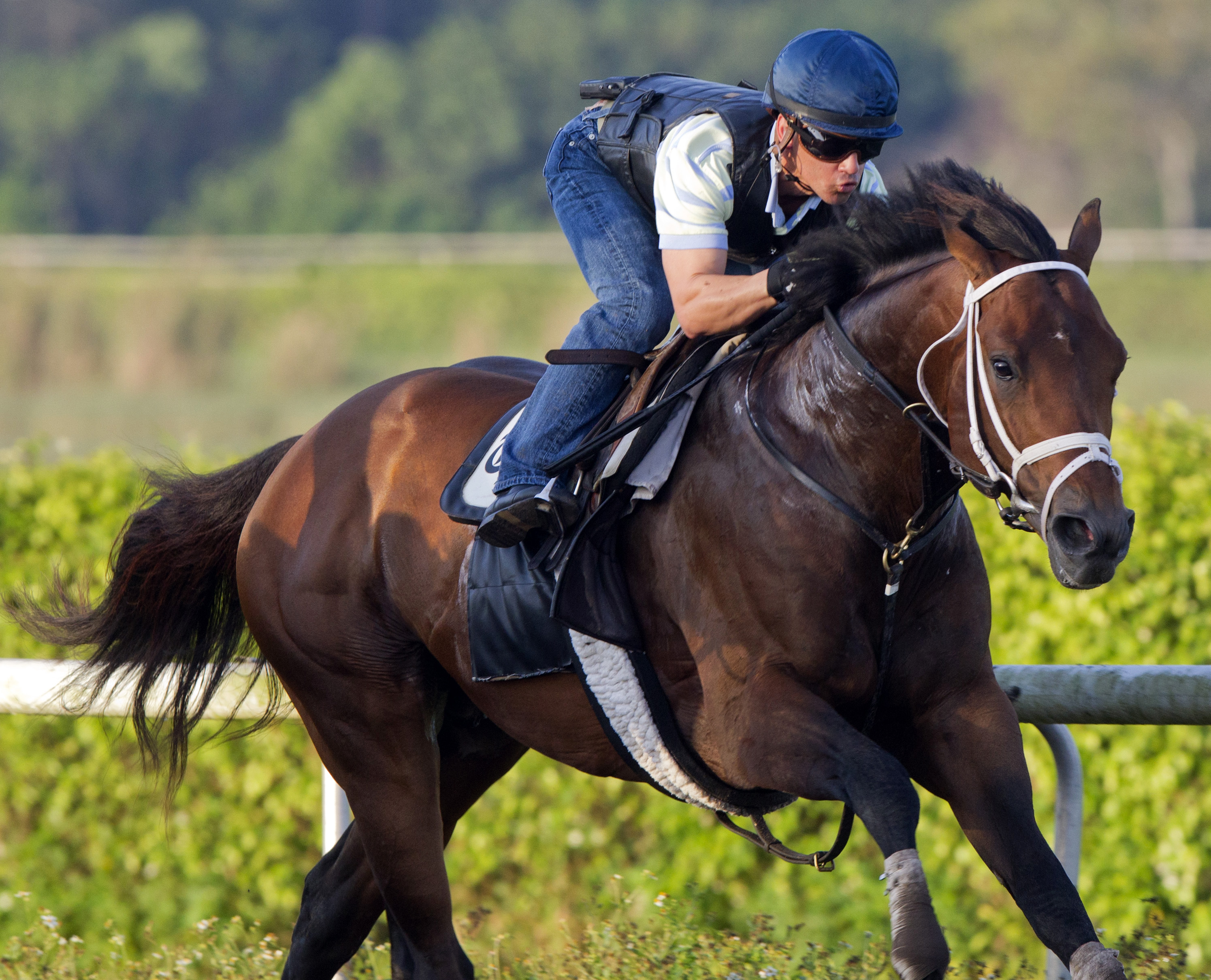 Commissioner at Palm Beach Downs in March
