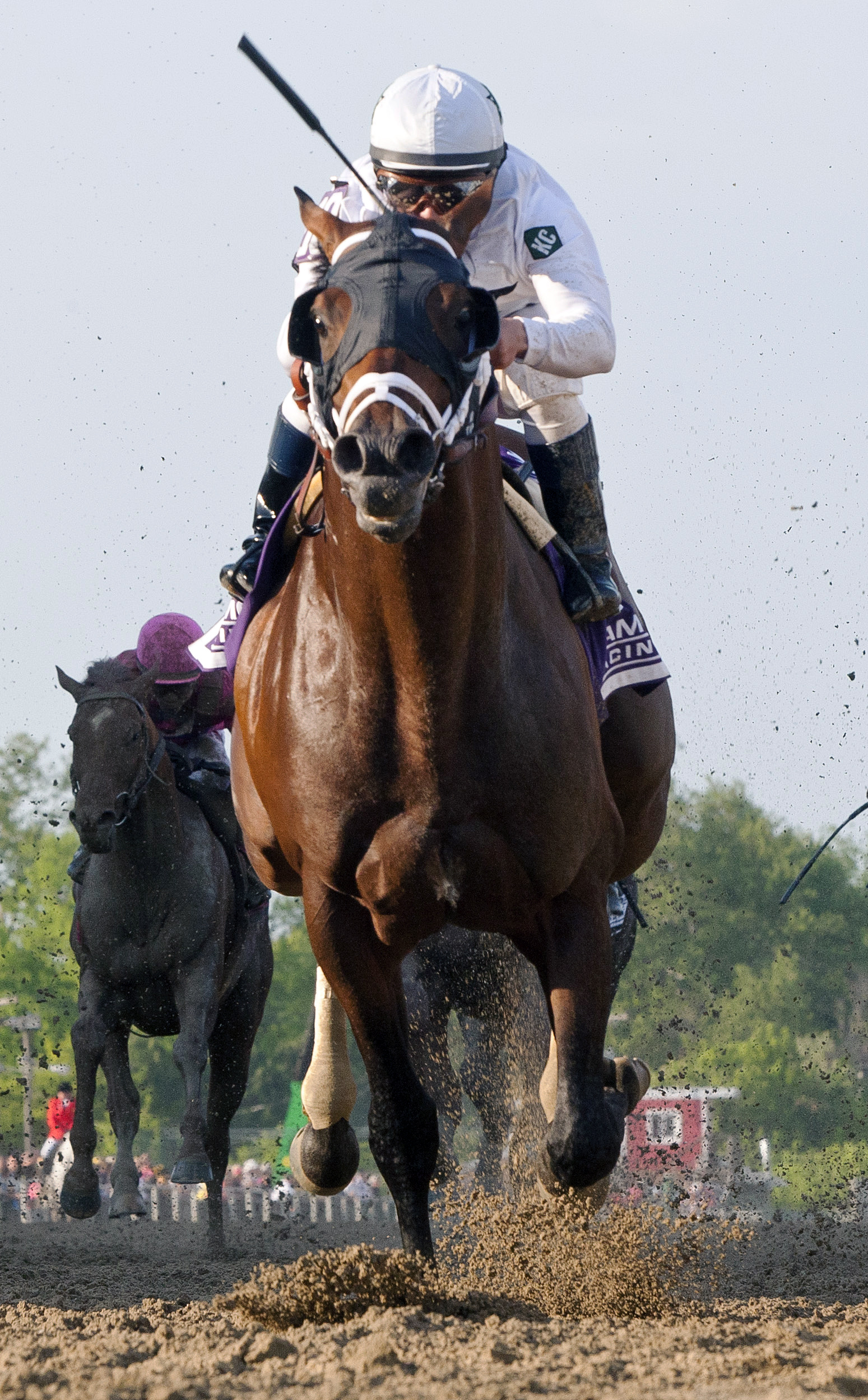 Commissioner wins the Pimlico Special