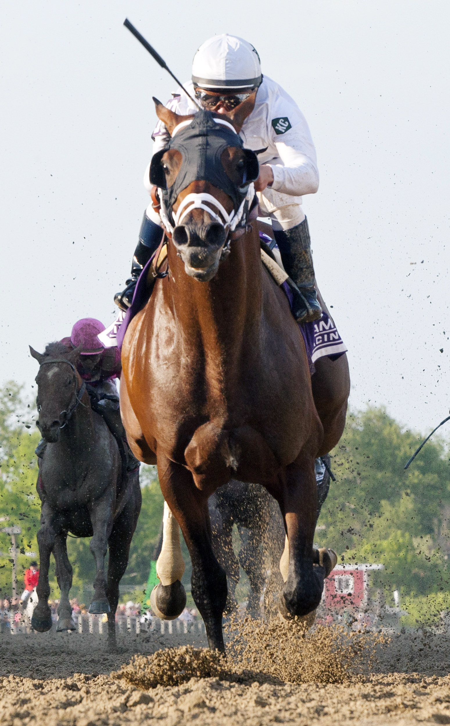 Commissioner wins the Pimlico Special