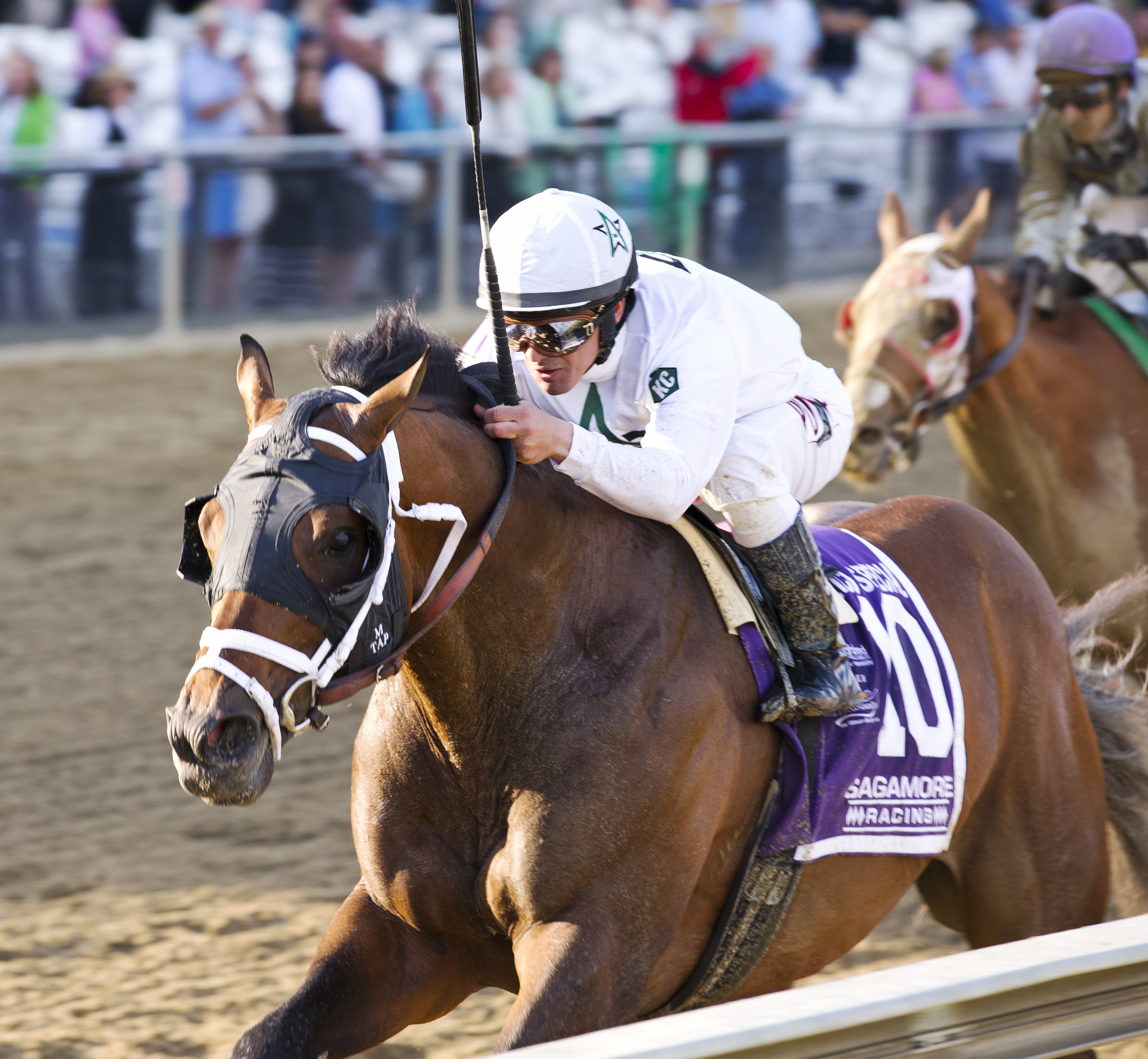 Commissioner wins the Pimlico Special