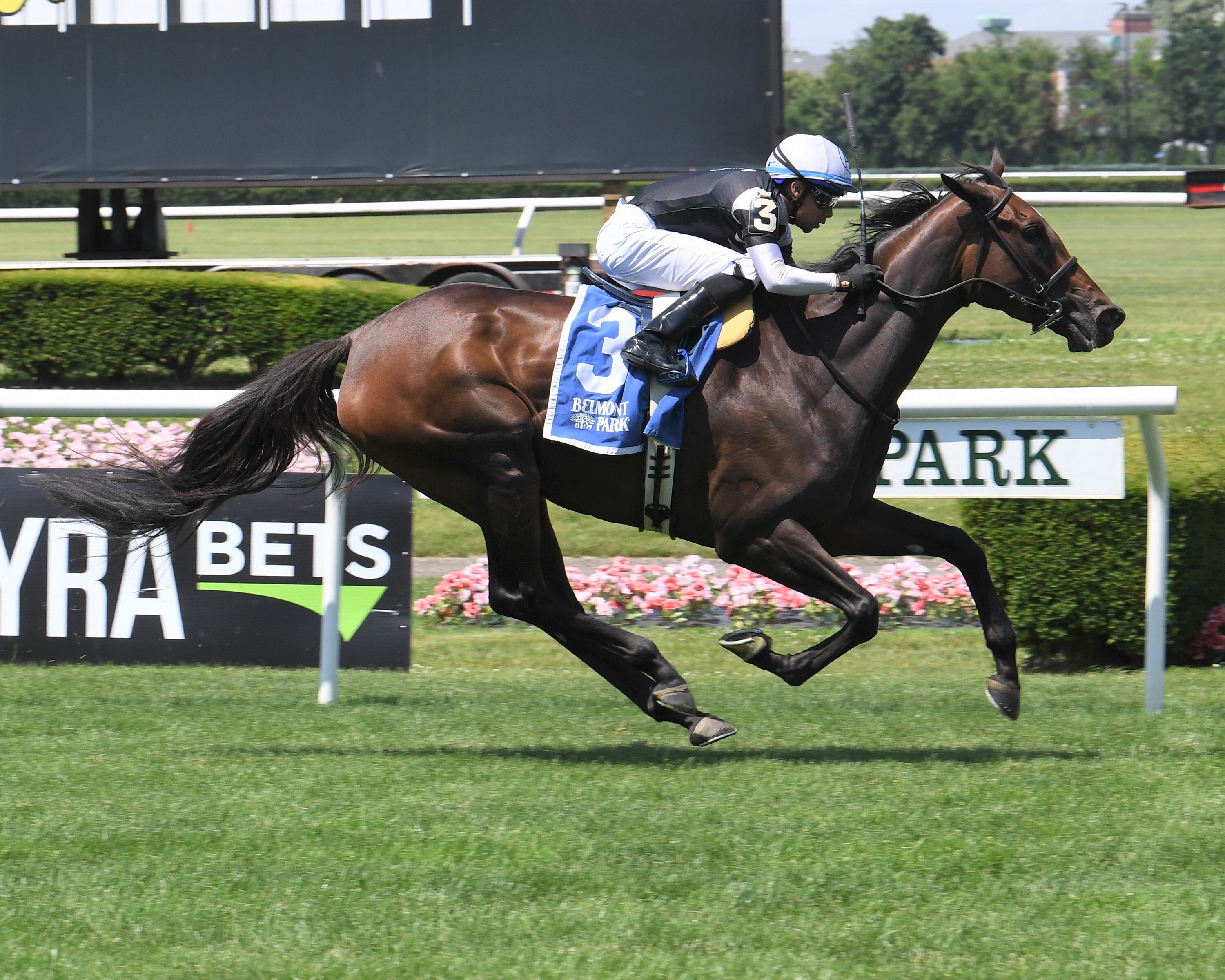 Community Adjusted wins Belmont allowance June 17 2022