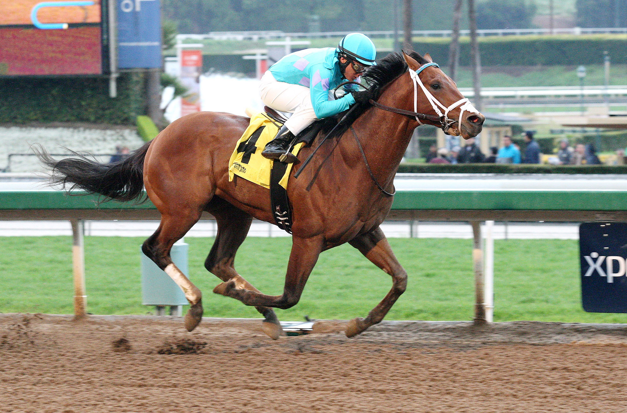 Commute wins a maiden race