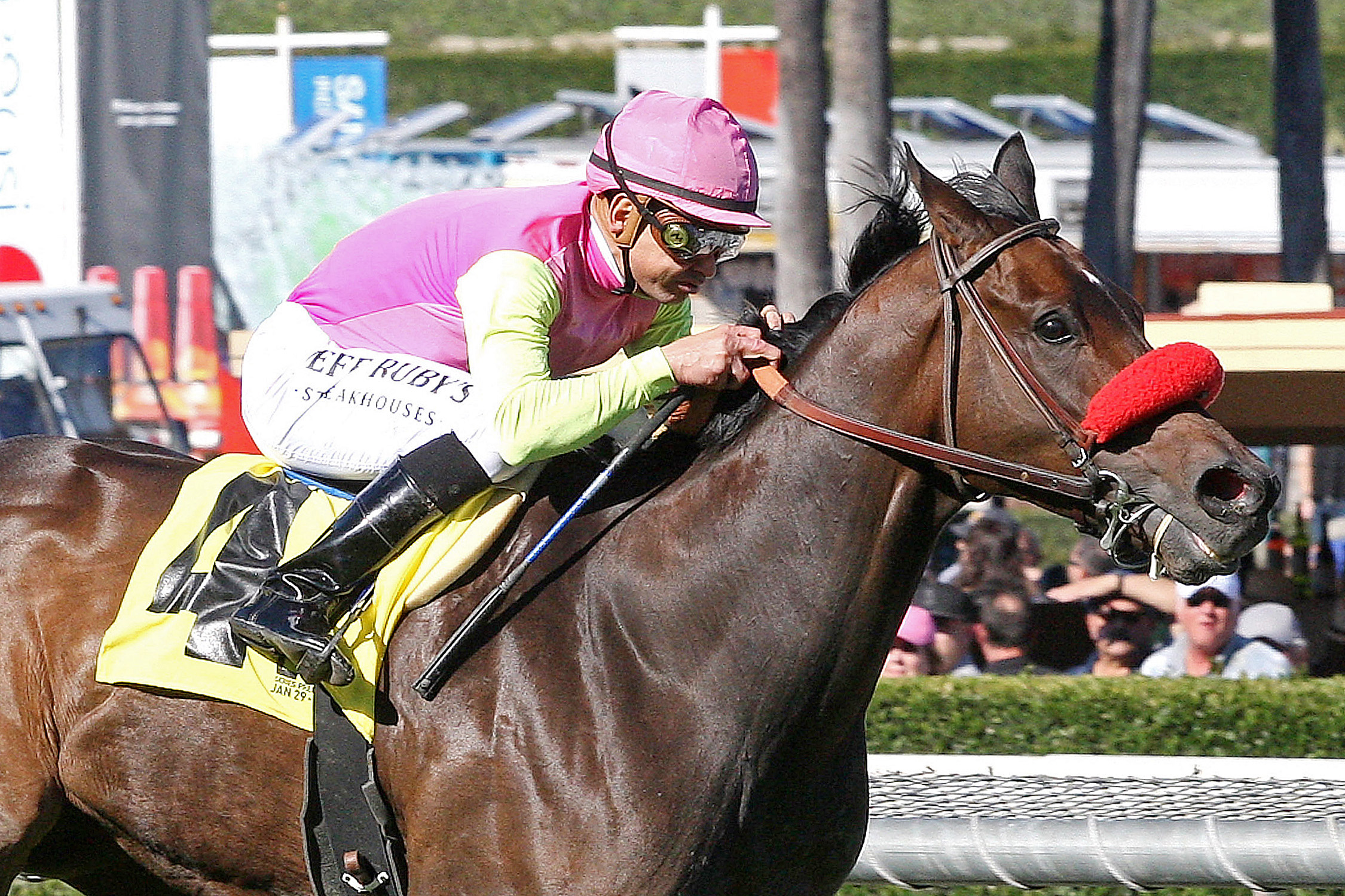 Compari, Sensational Star Stakes