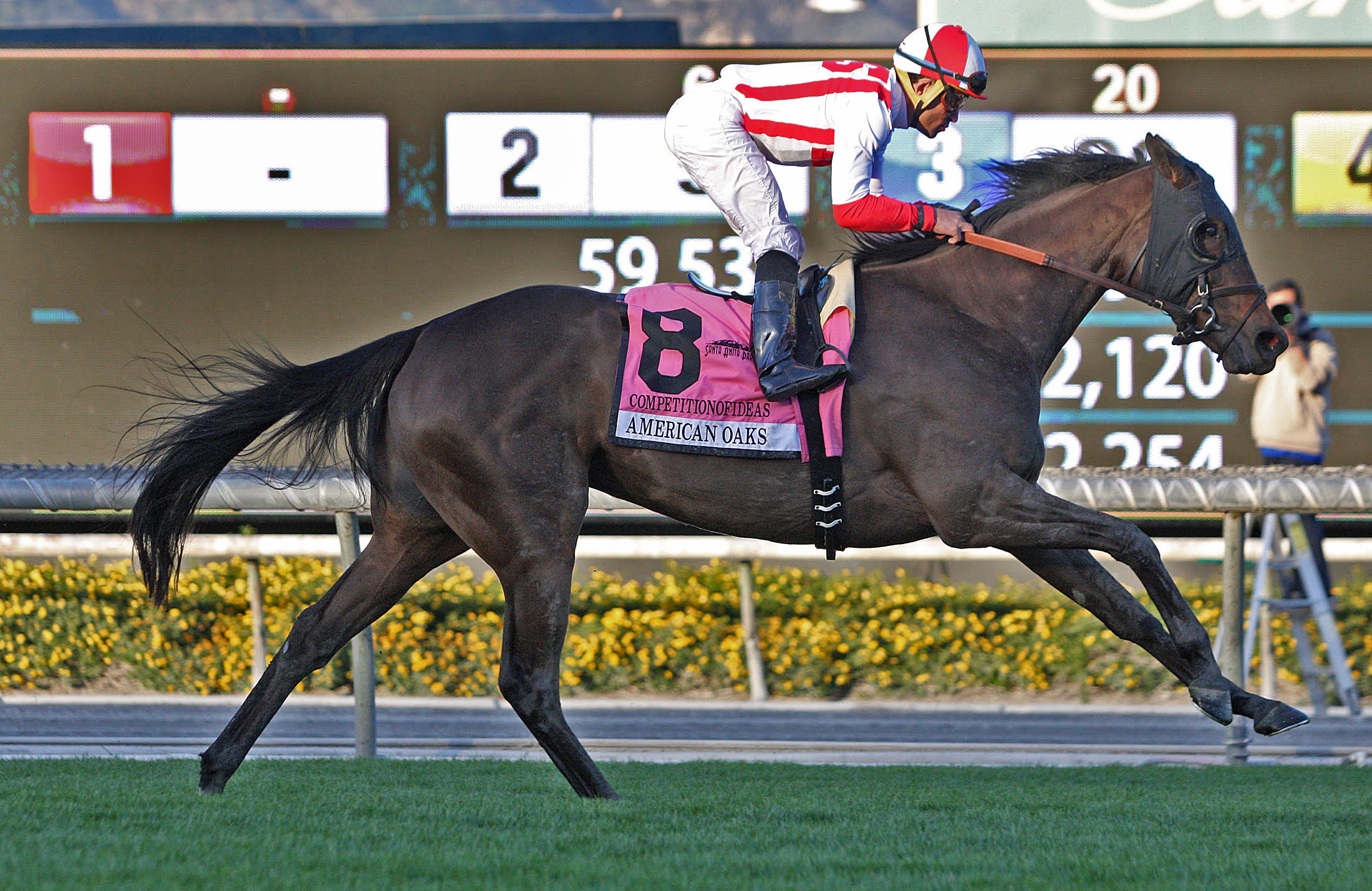Competitionofideas wins the 2018 American Oaks