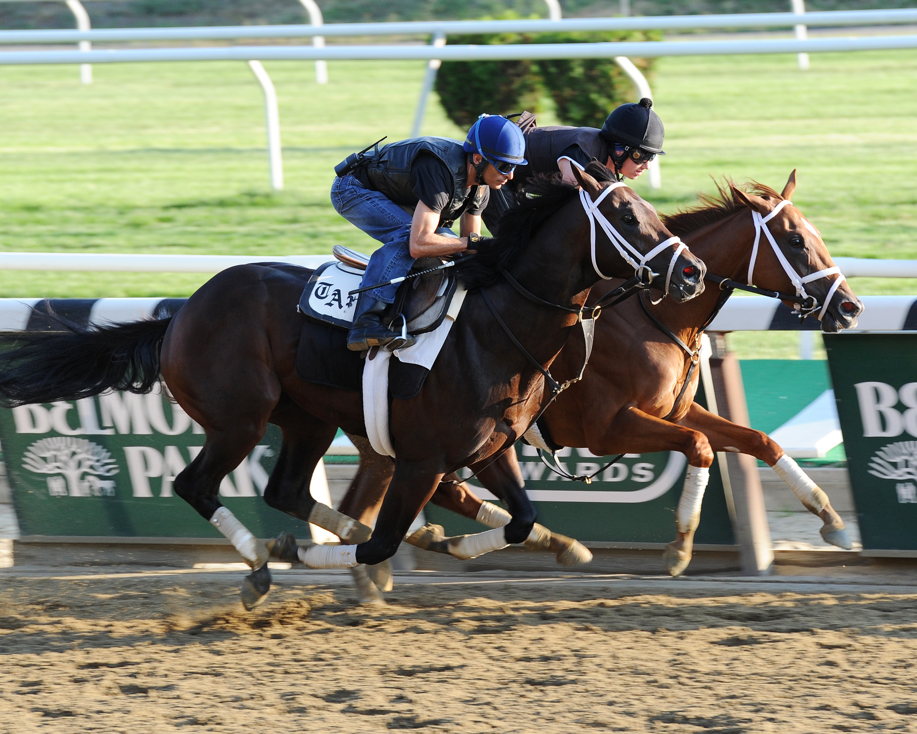 Competitive Edge trains at Belmont on May 29