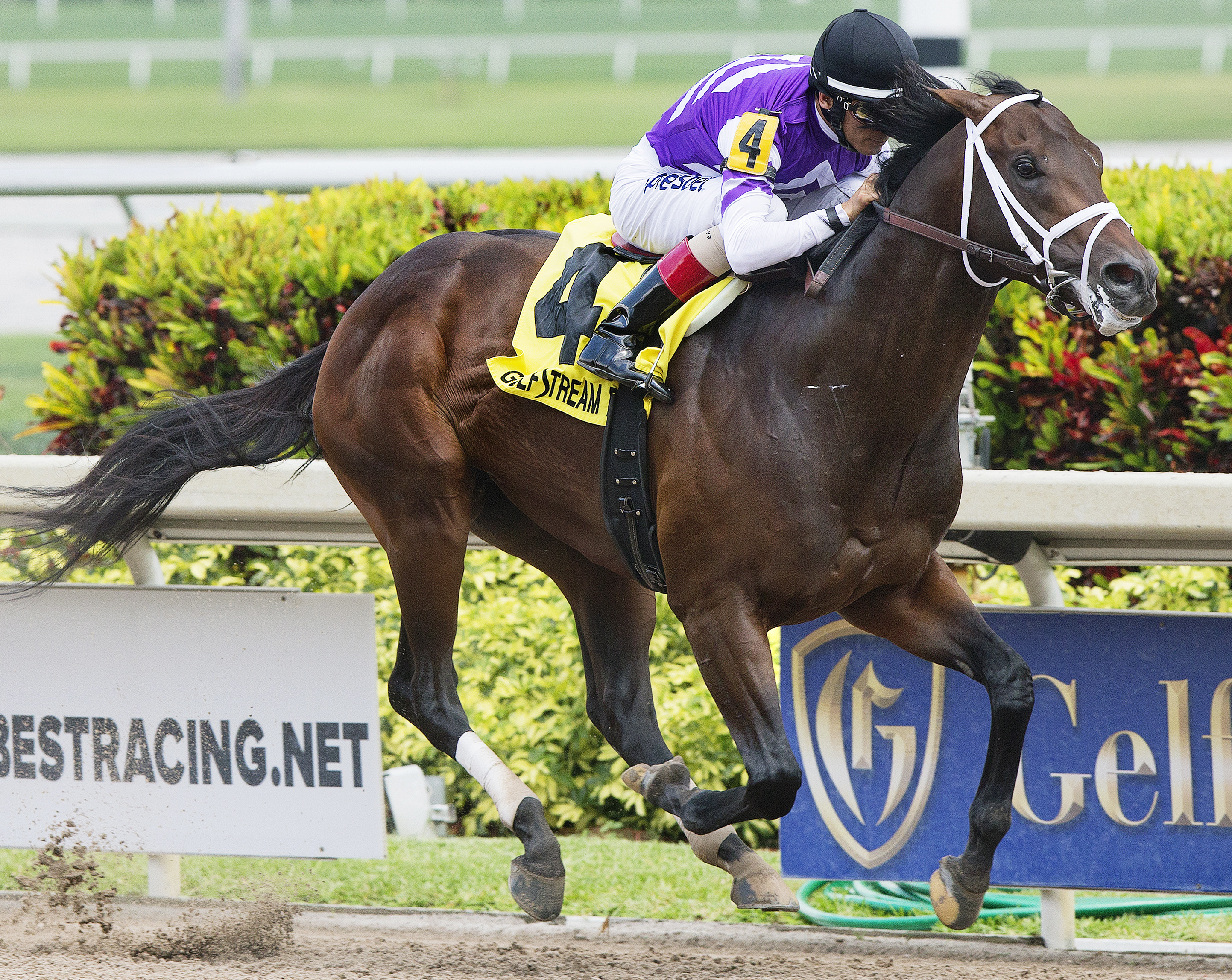Competitive Edge win the Tamarac Stakes