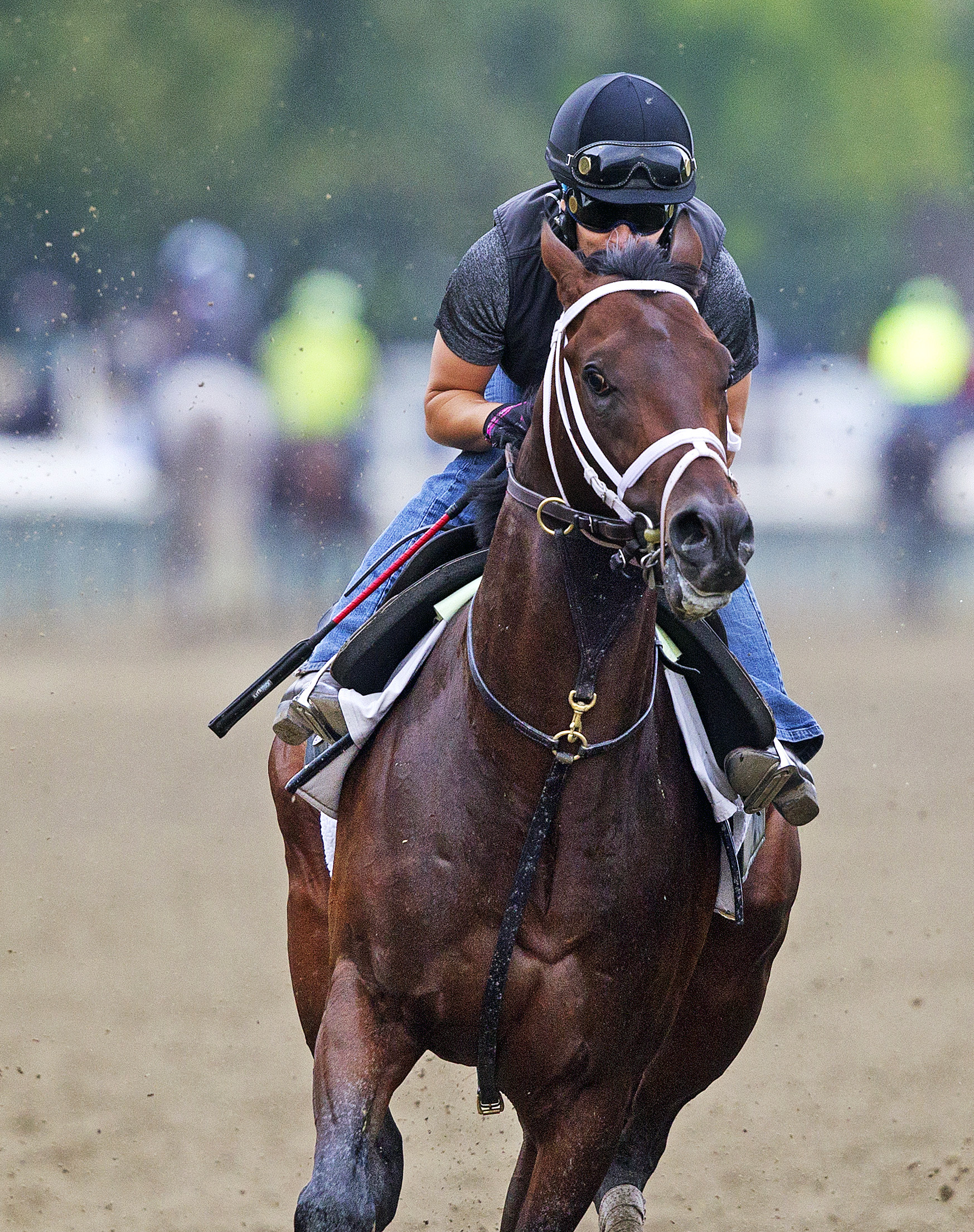 Competitive Edge trains at Saratoga on Aug 12