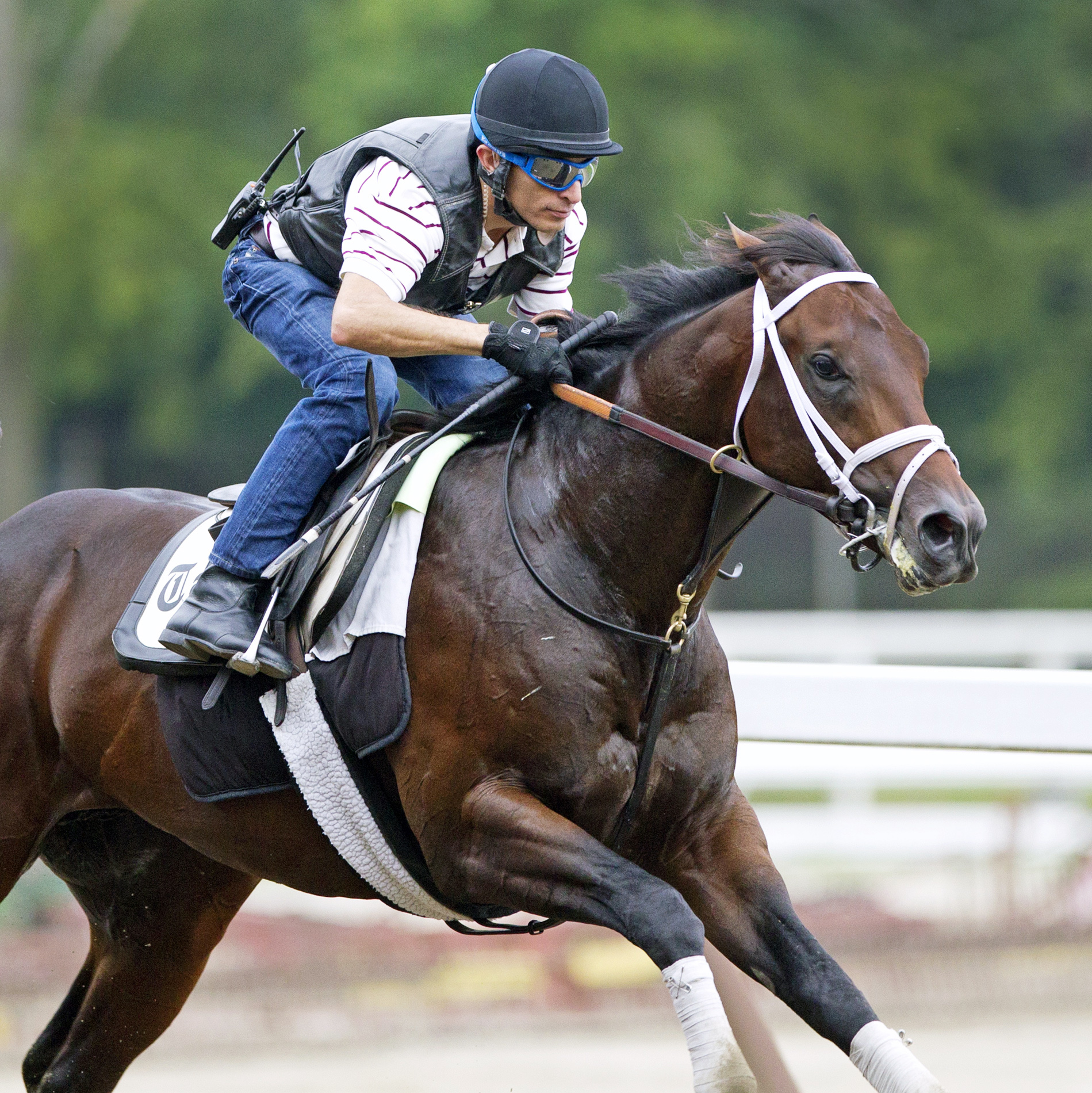 Competitive Edge trains at Saratoga on July 15