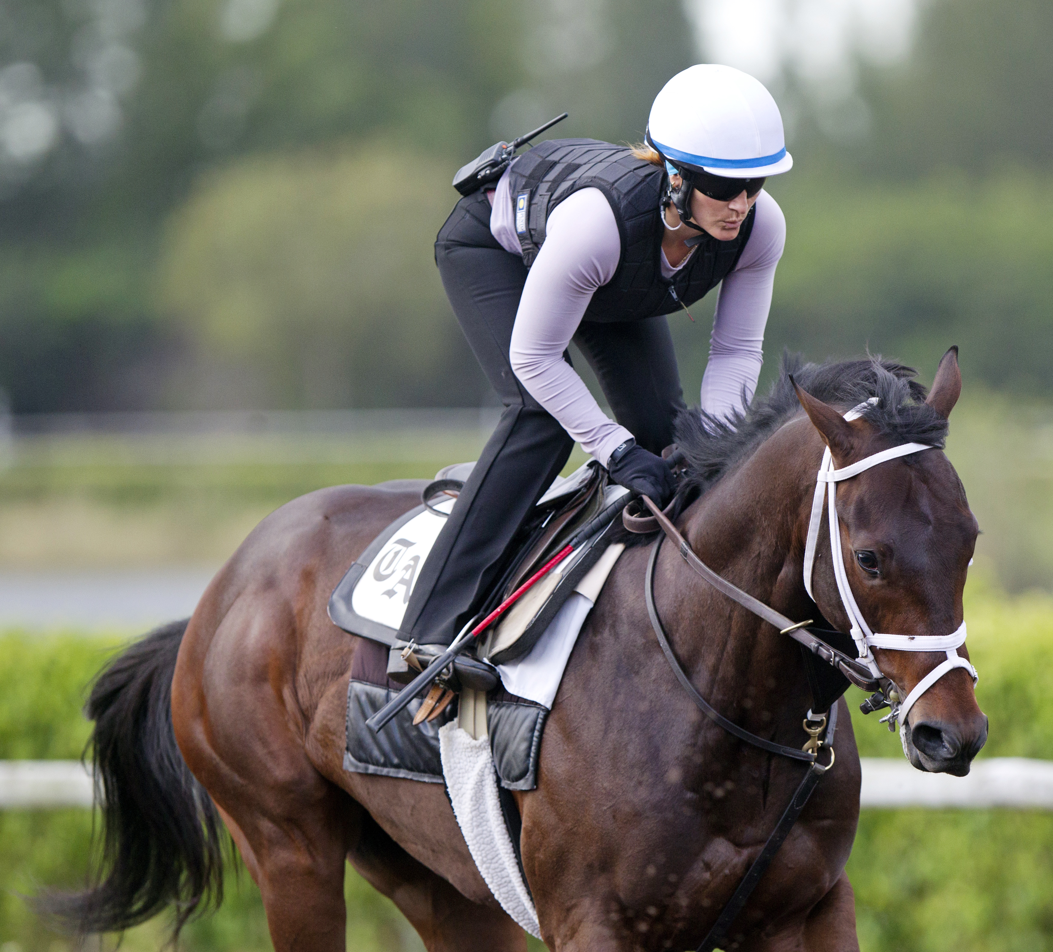 Competitive Edge at Palm Beach Downs