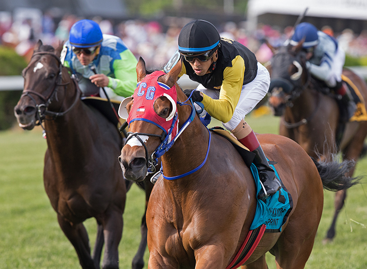 Completed Pass wins the 2019 Jim McKay Turf Sprint