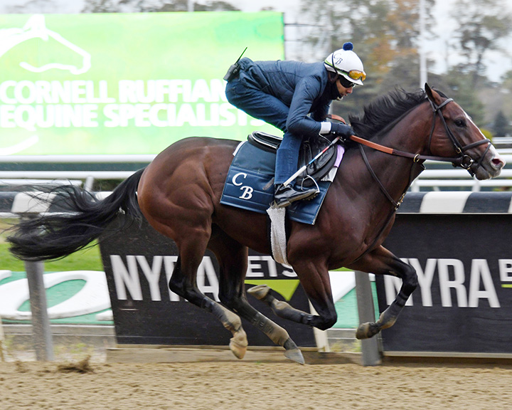 Complexity trains at Belmont on Oct. 26