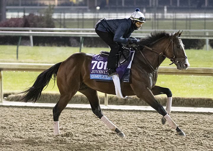 Complexity trains at Churchill Downs before the 2018 Breeders Cup