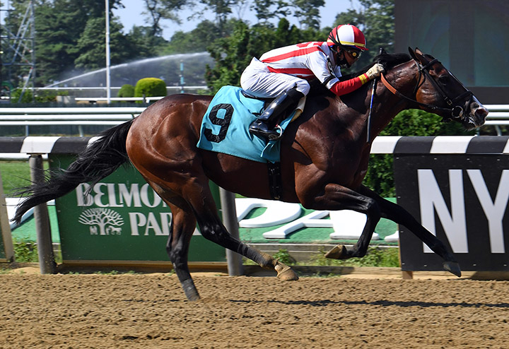 Complexity wins a July 2 allowance optional claimer at Belmont Park