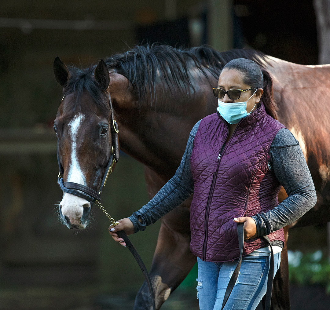 Complexity at Saratoga Race Course on Aug. 21