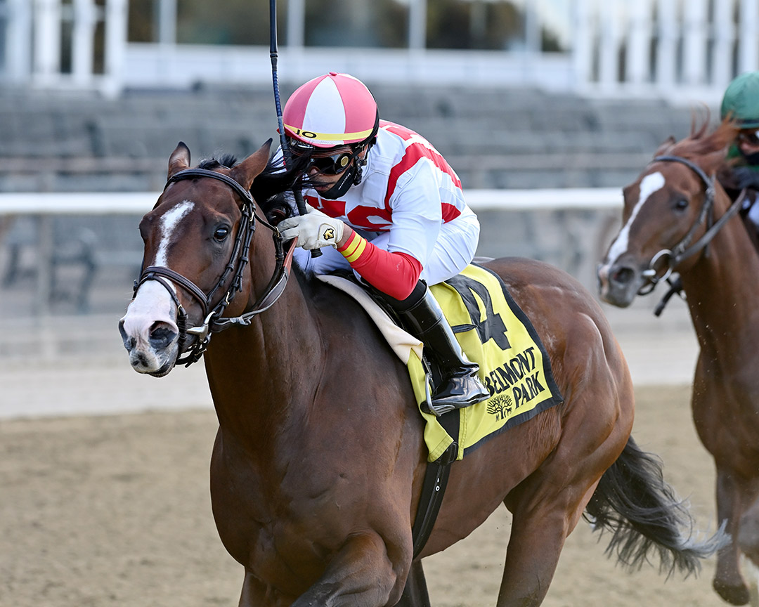Complexity wins the 2020 Kelso Handicap at Belmont Park