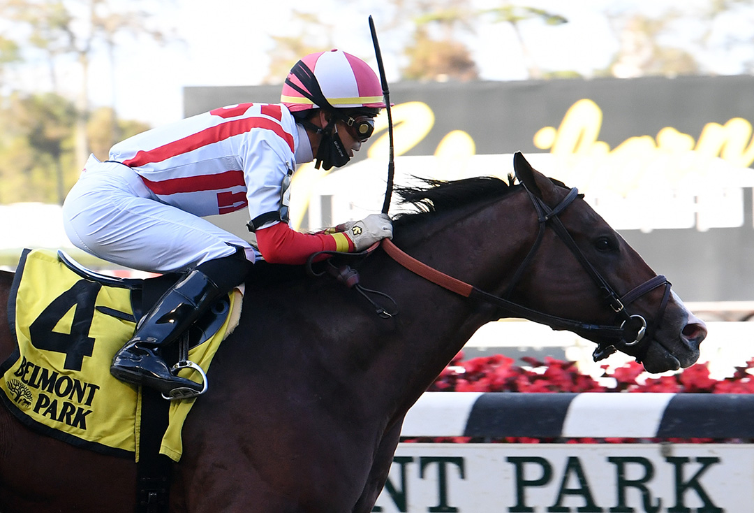 Complexity wins the 2020 Kelso Handicap at Belmont Park