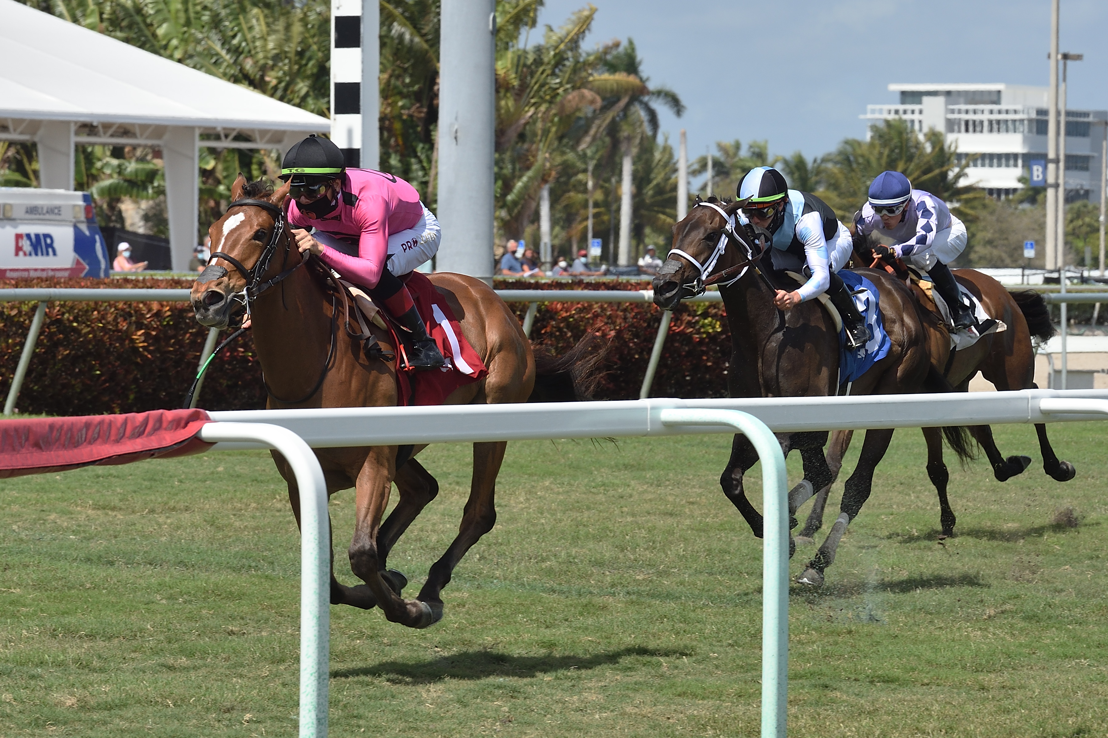 Con Lima wins Herecomesthebride 2-27-2021