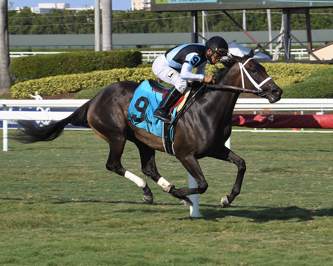 Con Lima wins the 2021 Honey Ryder Stakes at Gulfstream Park