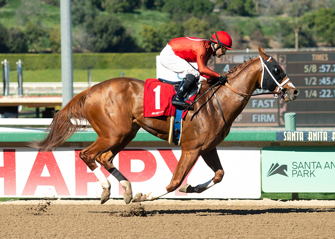 Con On the Run wins a Feb. 19 starter allowance at Santa Anita Park