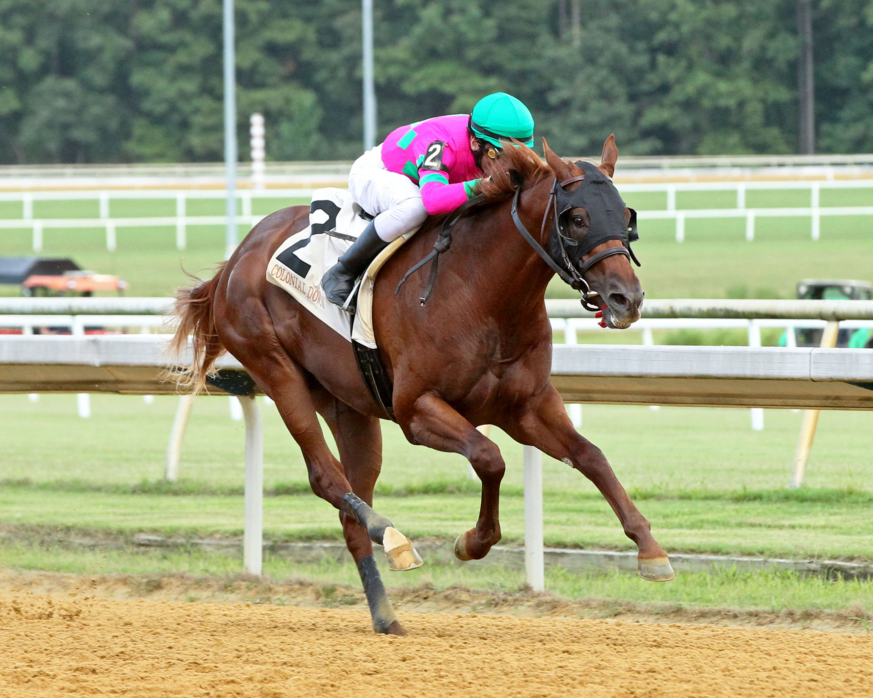 Conagher wins the Housebuster Handicap at Colonial on Aug 1 2022