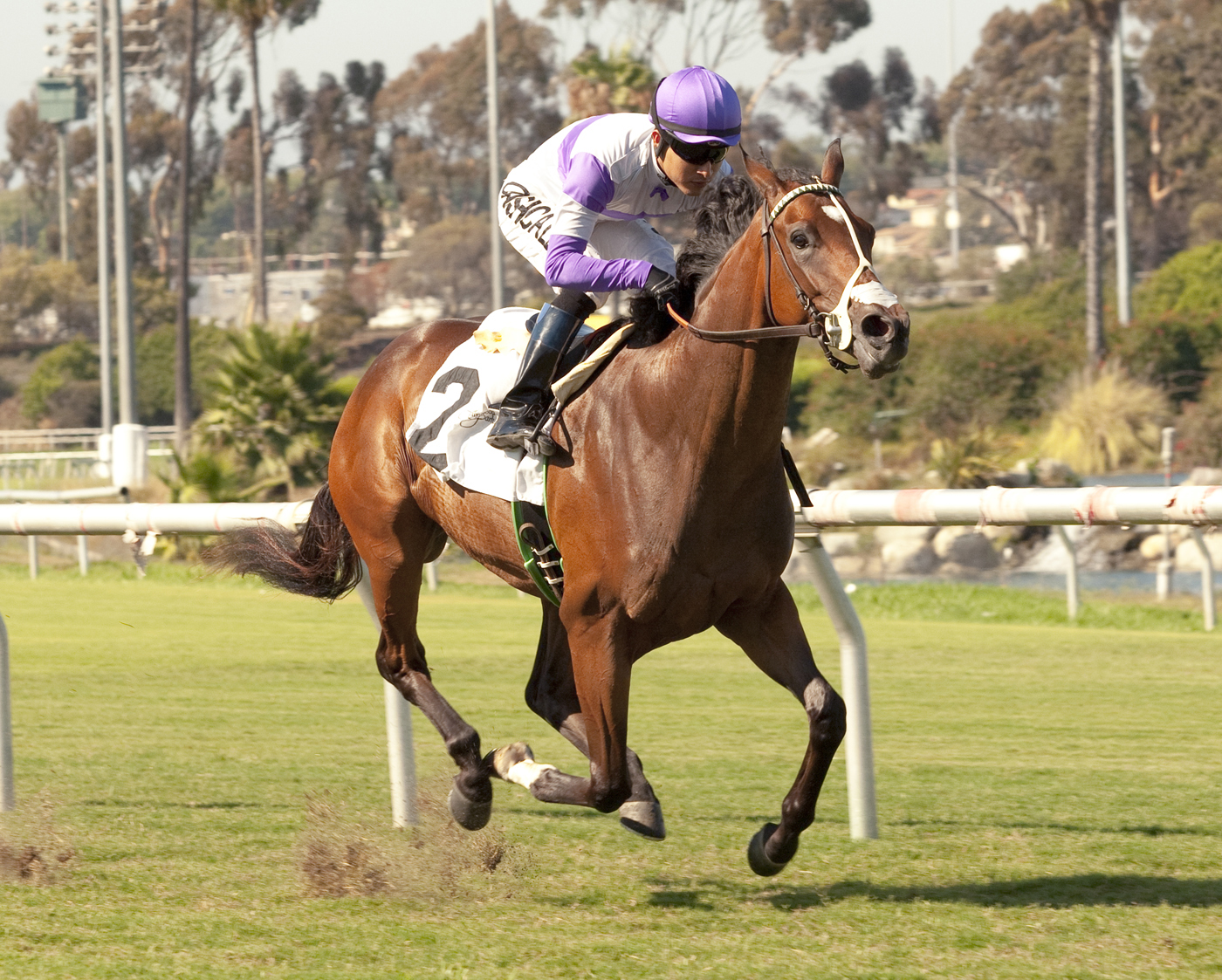 Concave, maiden win