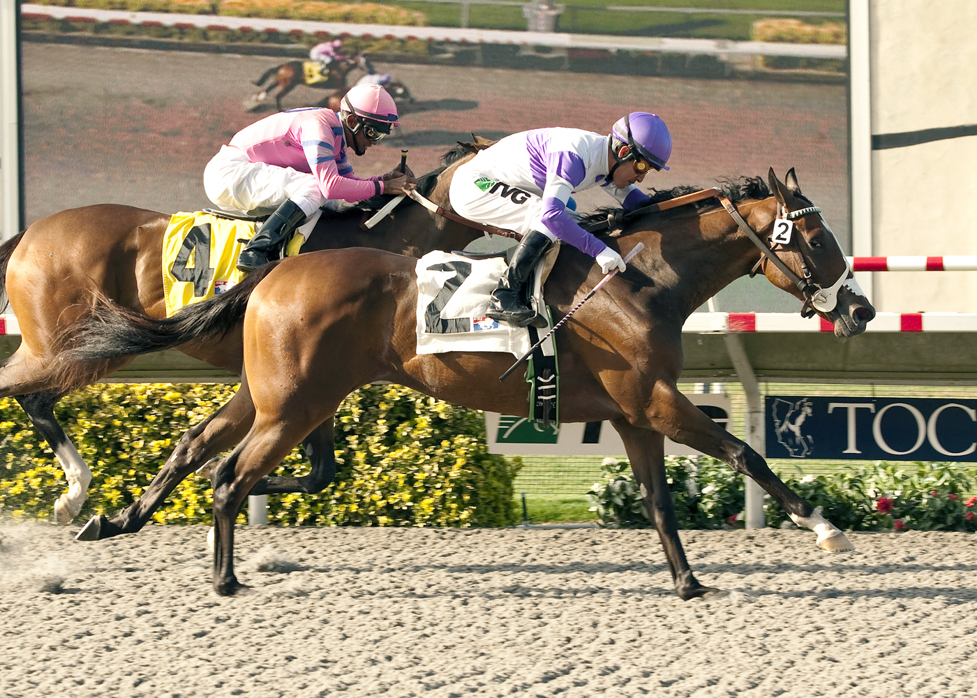 Concave, Sorrento Stakes