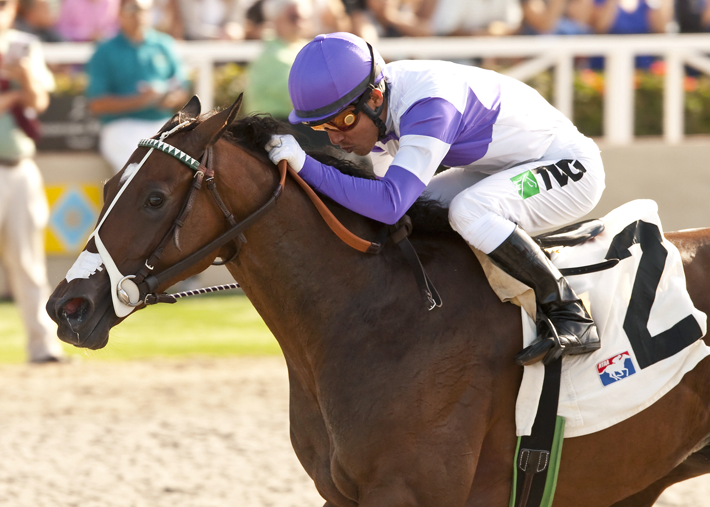 Concave, Sorrento Stakes