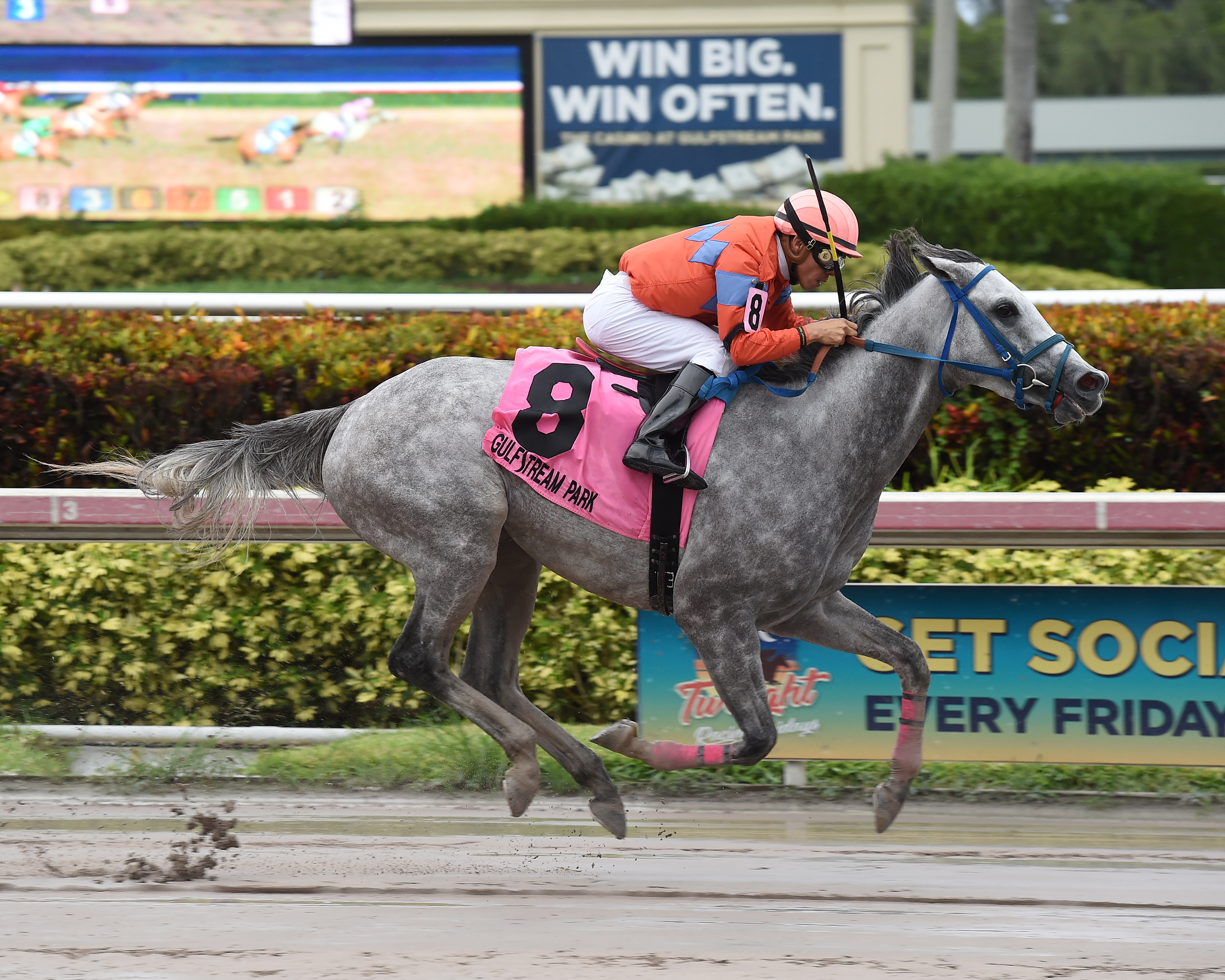 Concealedwithakiss wins the 2017 Ana T. Handicap