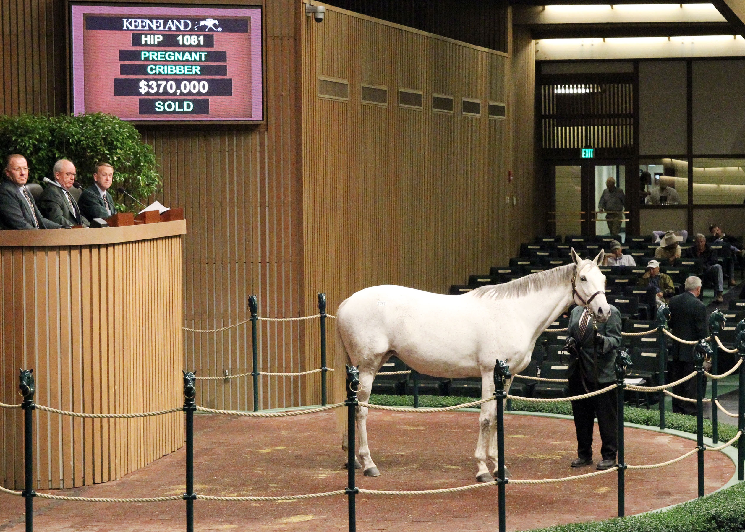 Conchita Keeneland November
