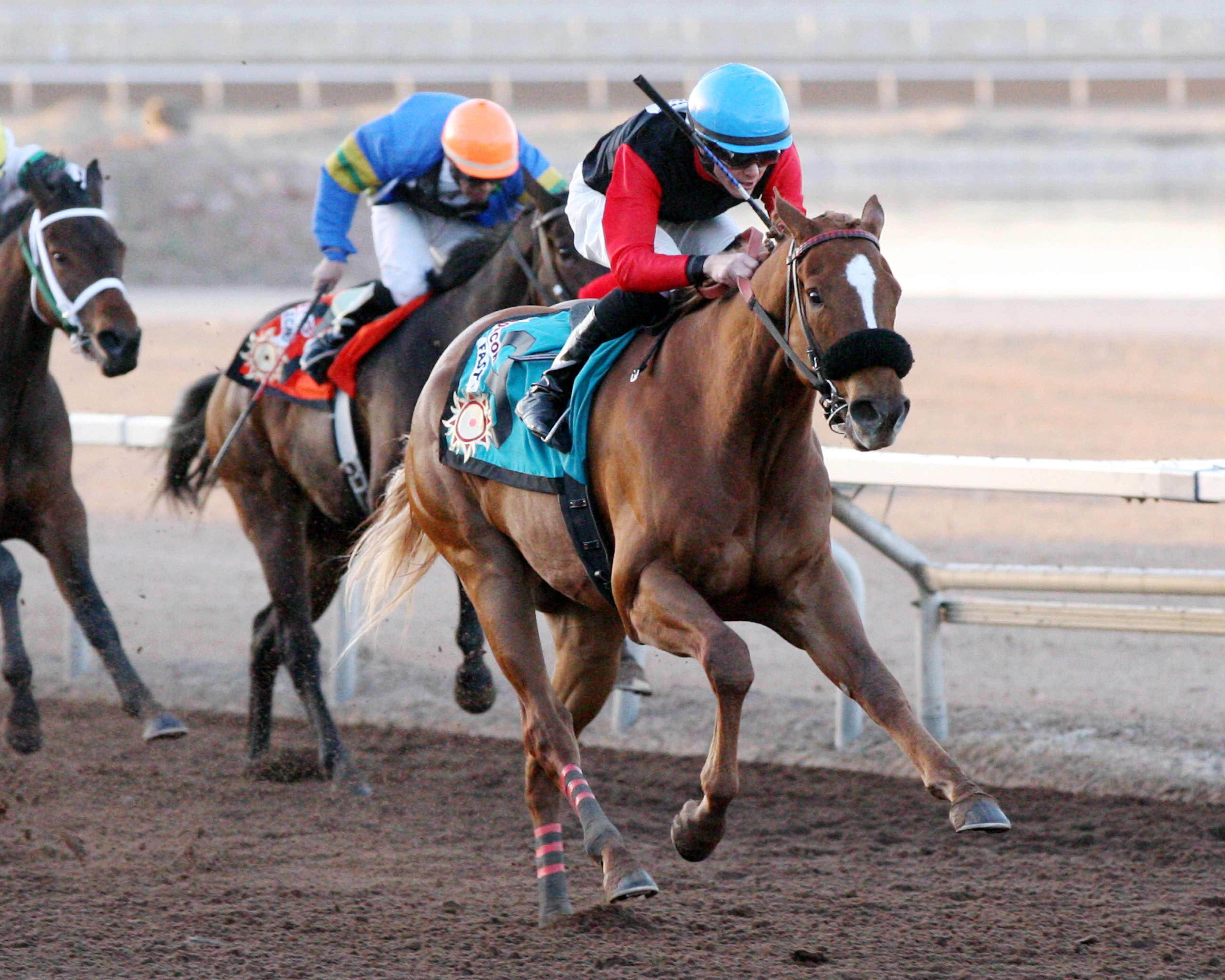 Concord Fast wins the Mine That Bird Stakes