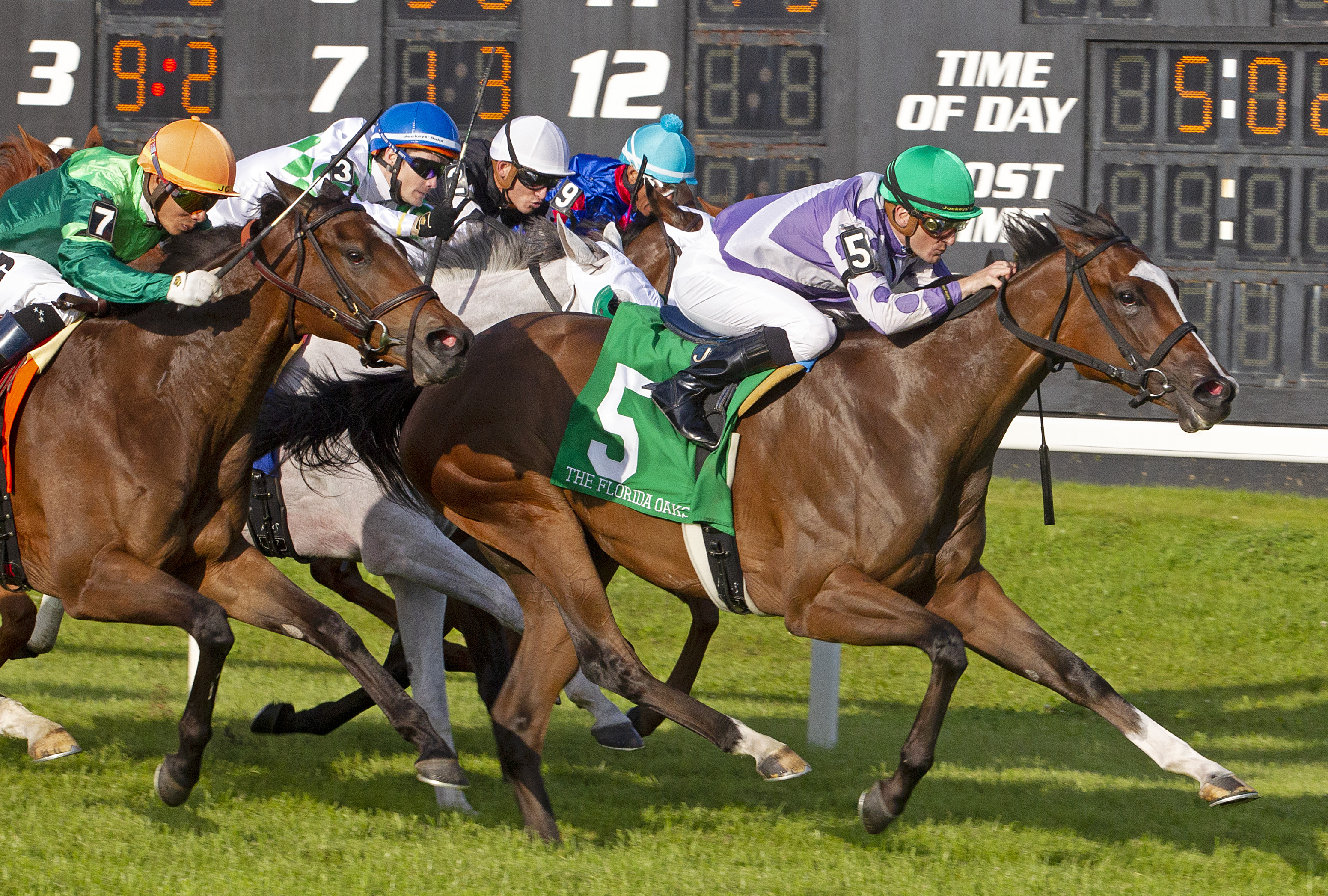 Concrete Rose wins the 2019 Florida Oaks - TK