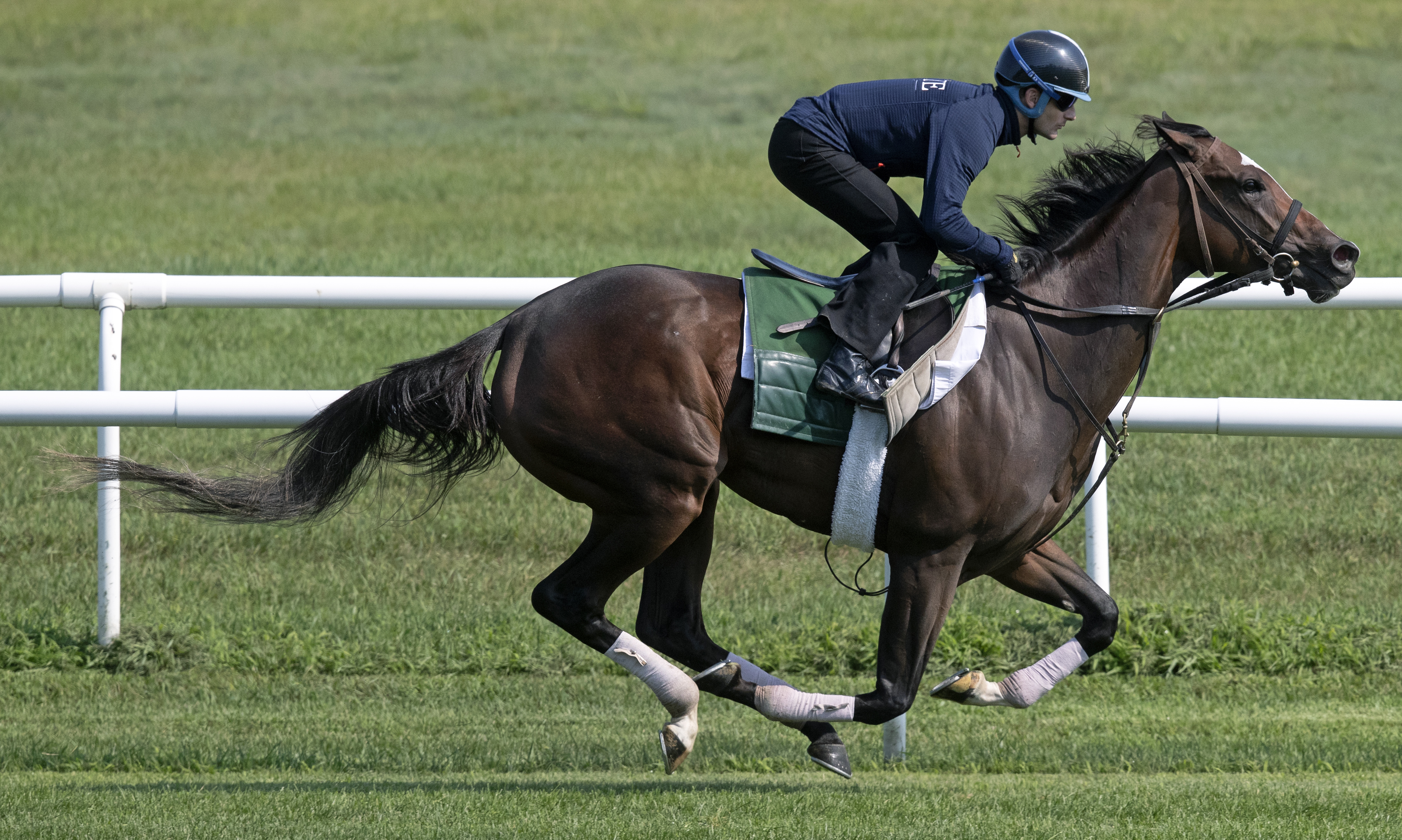 Concrete Rose works at Saratoga on 7.27.19