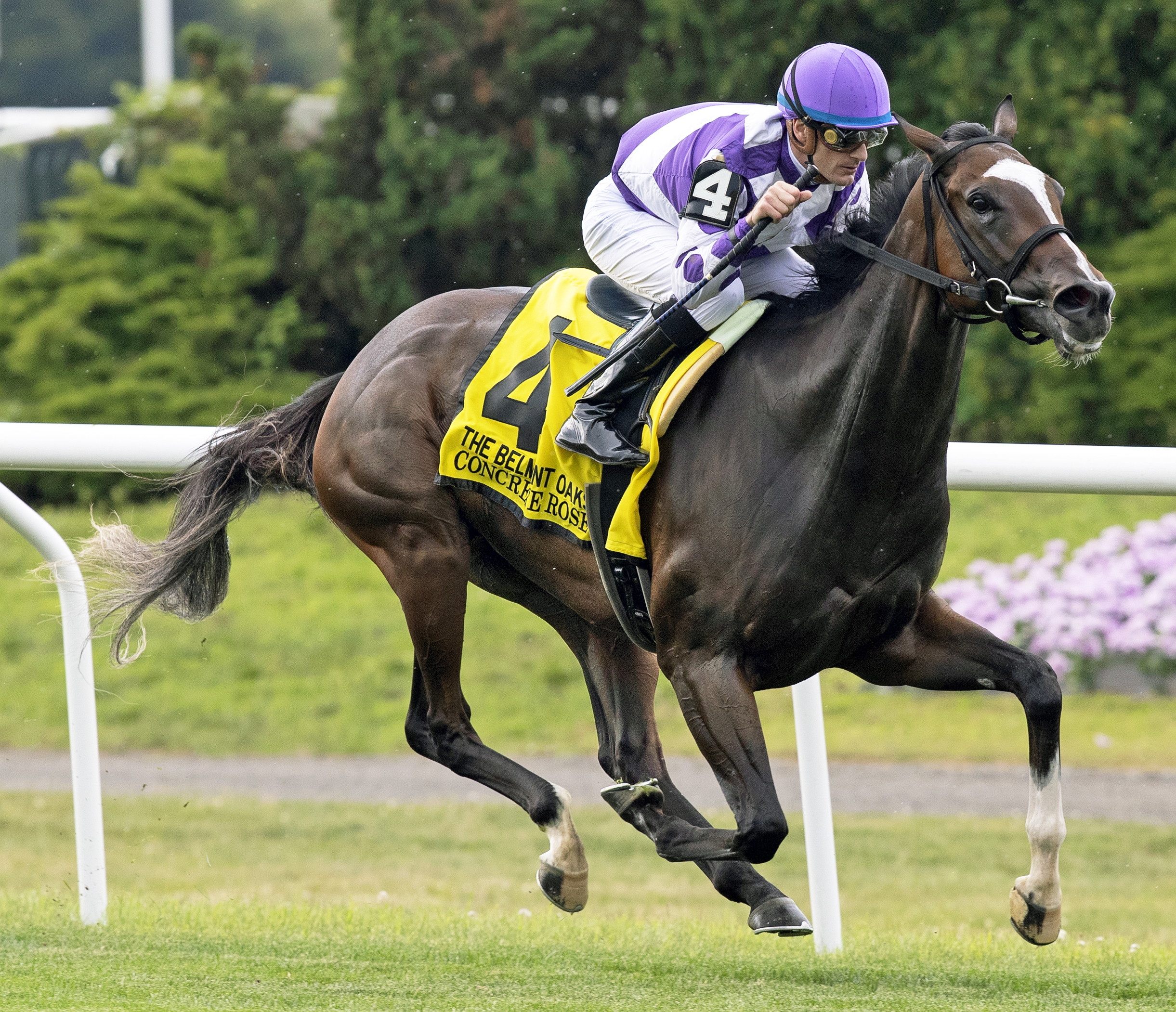 Concrete Rose wins the 2019 Belmont Oaks