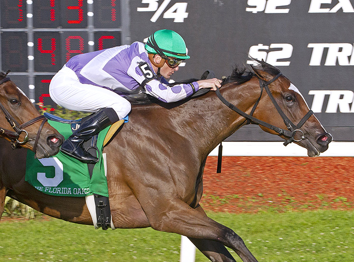 Concrete Rose wins the 2019 Florida Oaks