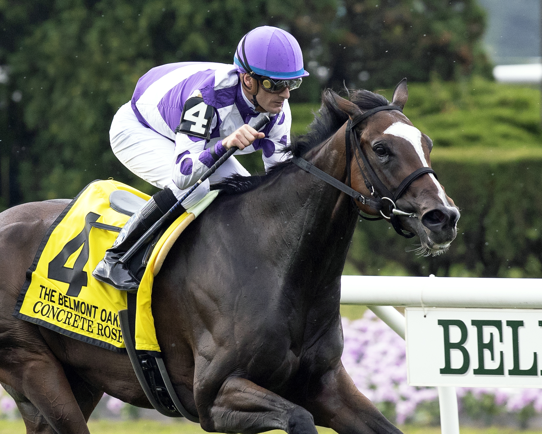 Concrete Rose wins the 2019 Belmont Oaks