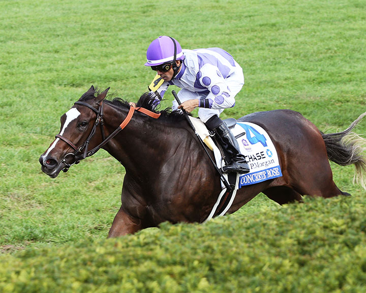 Concrete Rose wins the 2018 Jessamine