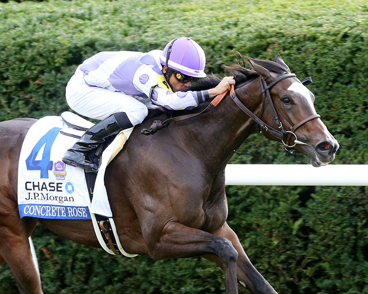 Concrete Rose wins the 2018 Jessamine