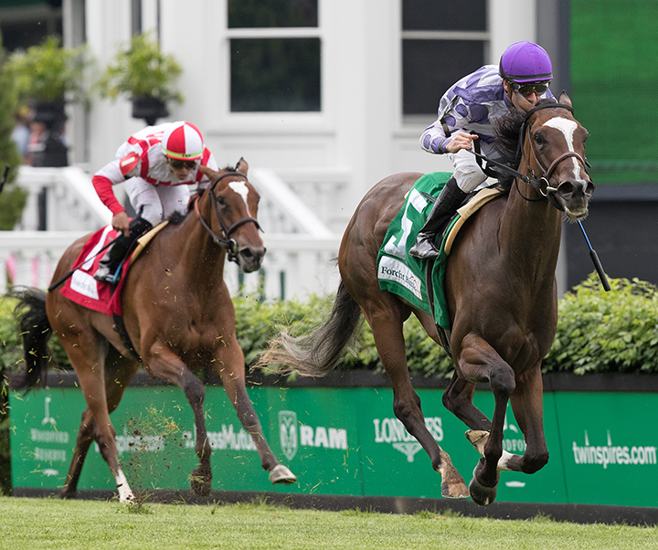 Concrete Rose wins the 2019 Edgewood