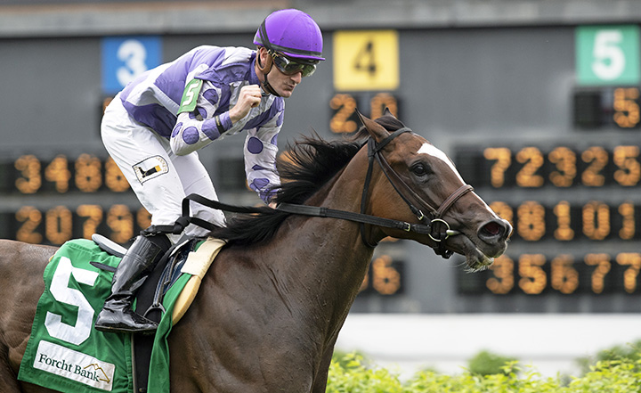 Concrete Rose wins the 2019 Edgewood