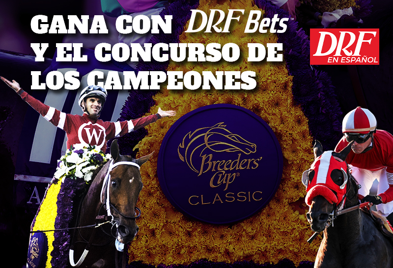 DRF en Español Contest BC22