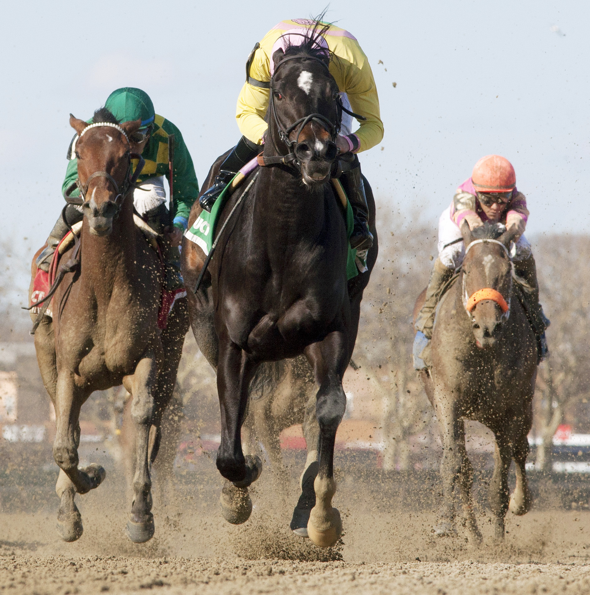 Condo Commando wins the Gazelle