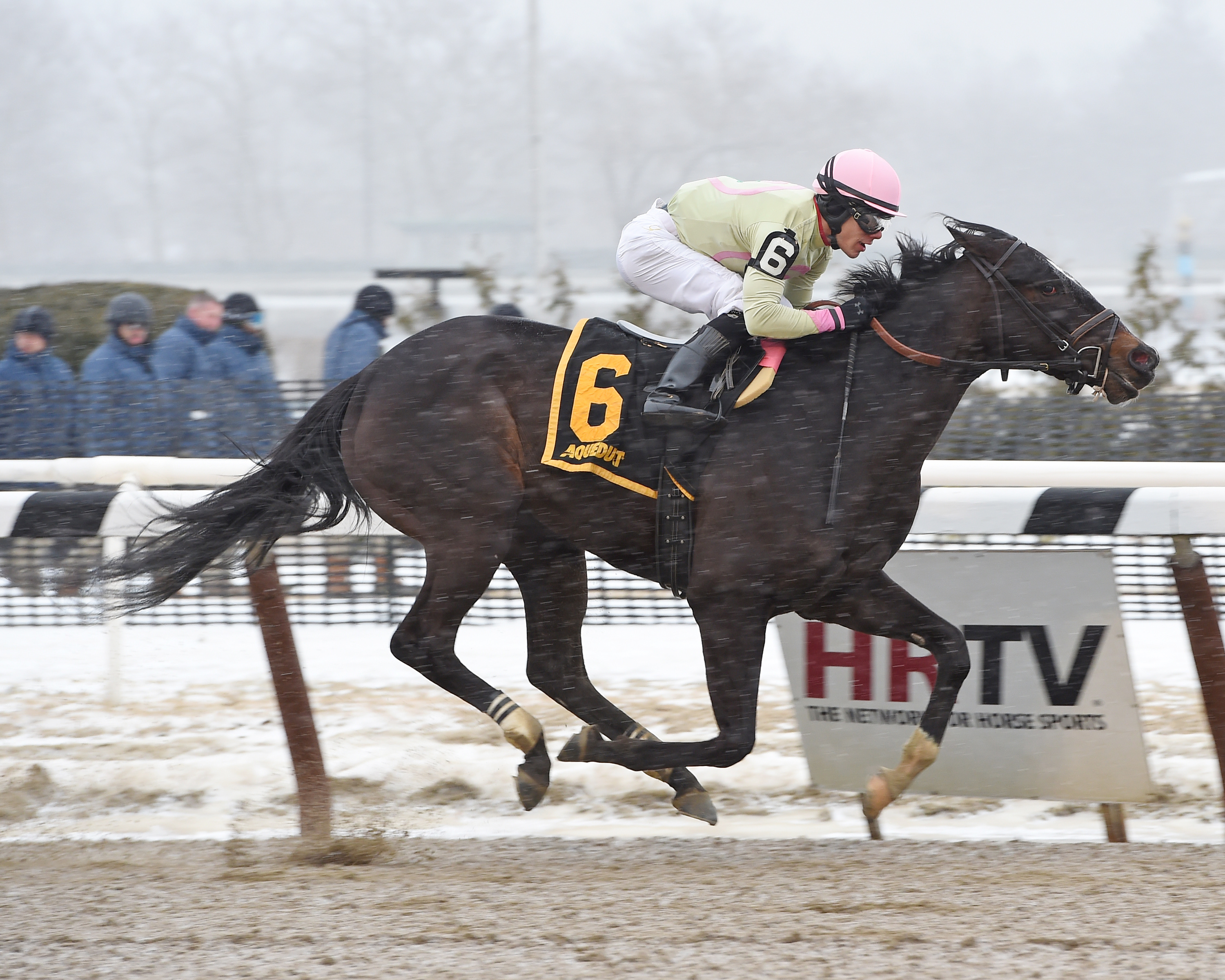 Condo Commando wins the Busher