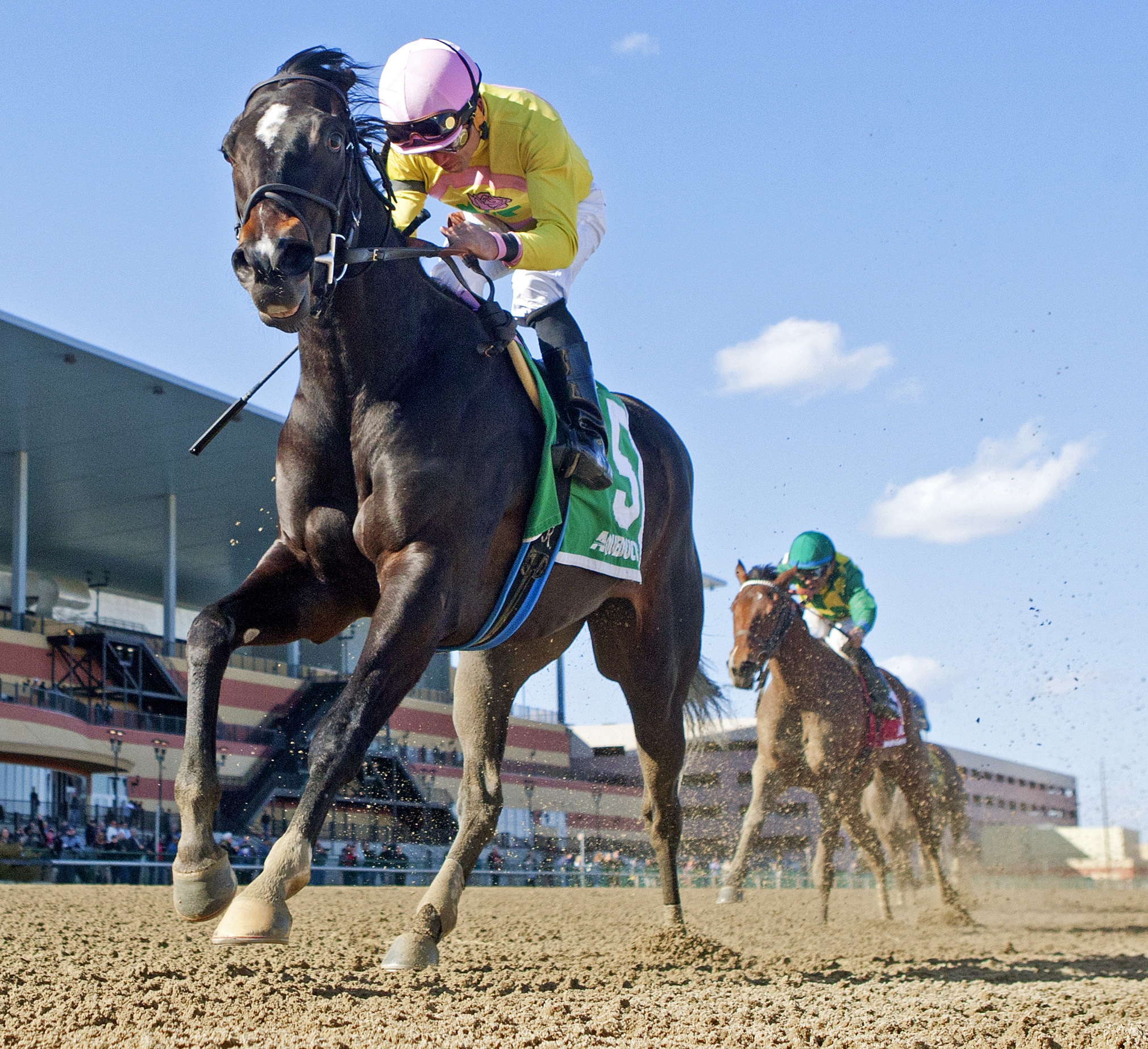 Condo Commando wins the Gazelle