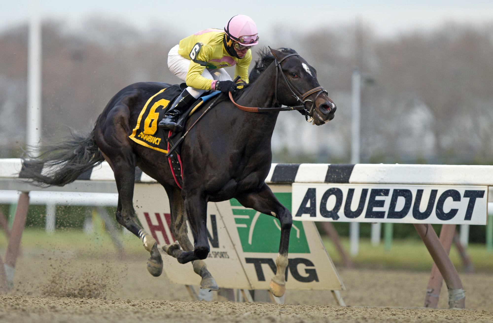 Condo Commando wins the Demoiselle