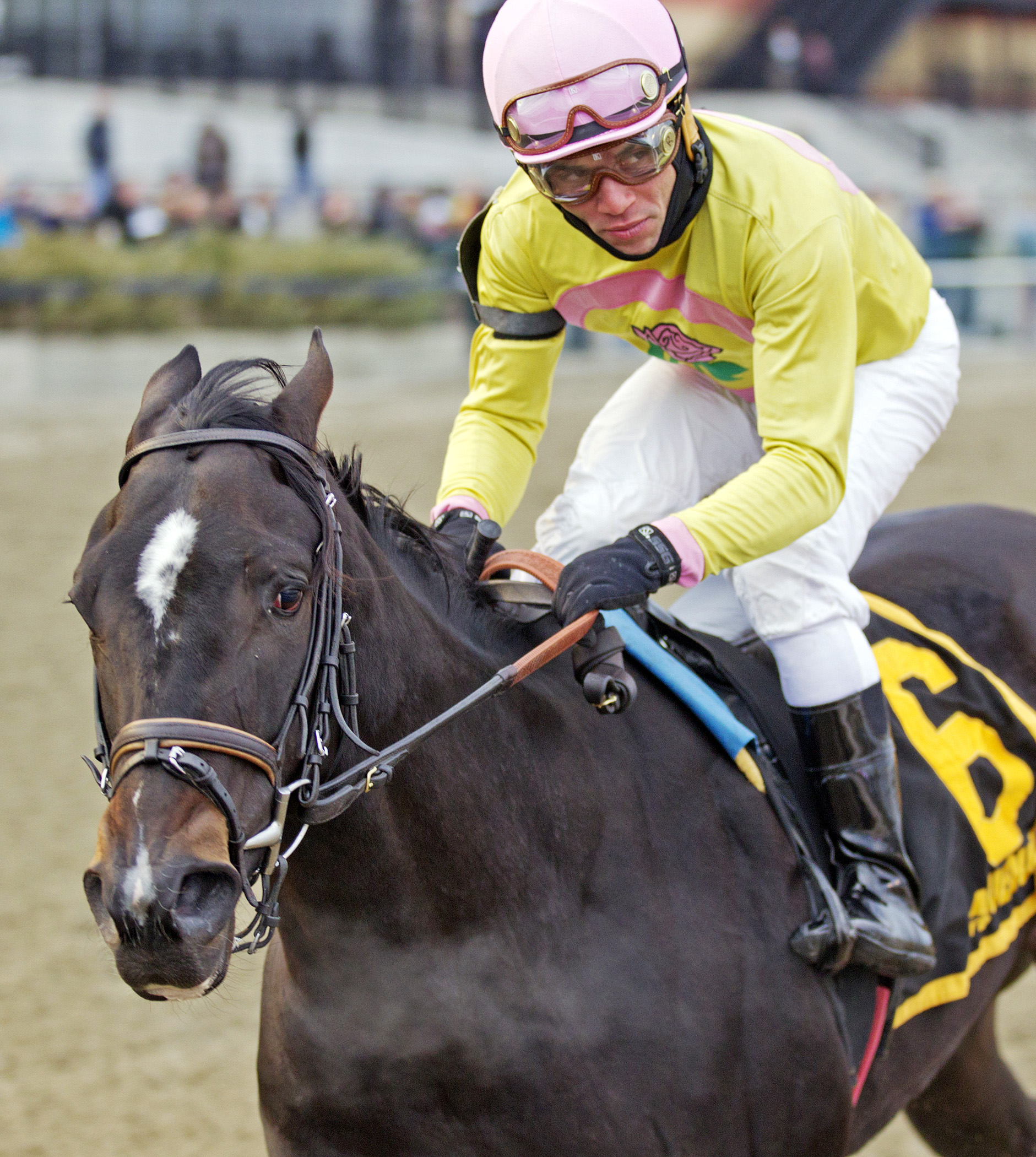 Condo Commando wins the Demoiselle
