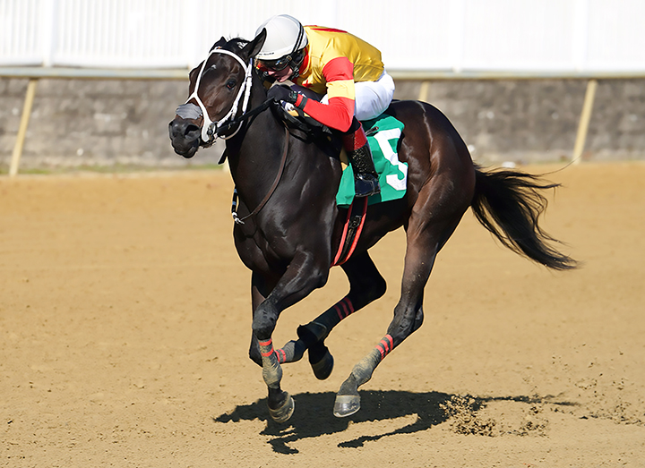 Congrats Gal wins the 2018 Smart Halo Stakes