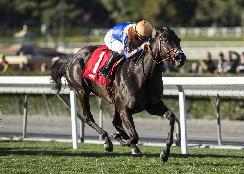 Coniah wins the 2018 Las Cinegas Stakes